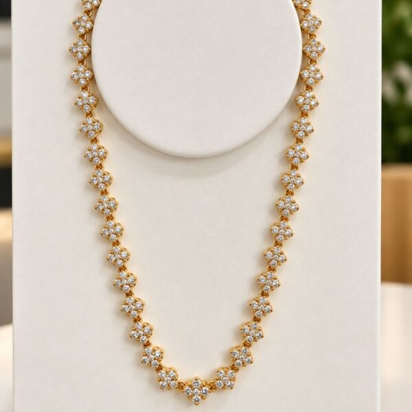Conjunto Riviera